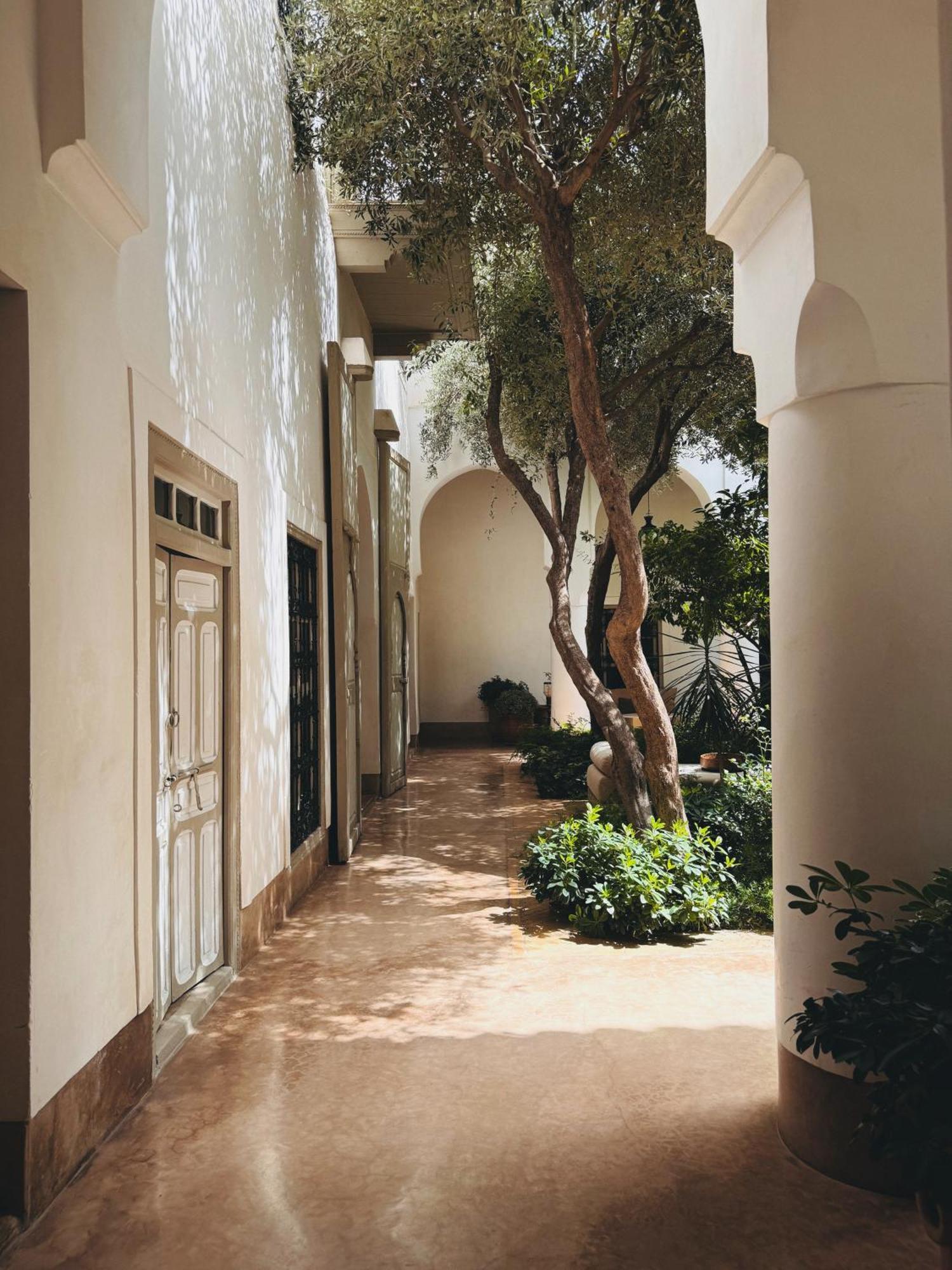 מרקש Riad Berbere Marrakech מראה חיצוני תמונה