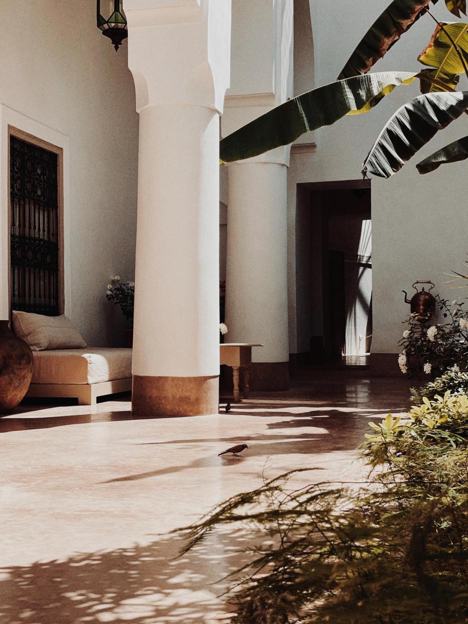 מרקש Riad Berbere Marrakech מראה חיצוני תמונה